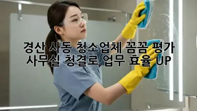 경산 사동 청소업체 꼼꼼 평가 💯 사무실 청결로 업무 효율 UP!