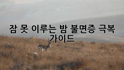 잠 못 이루는 밤? 불면증 극복 가이드